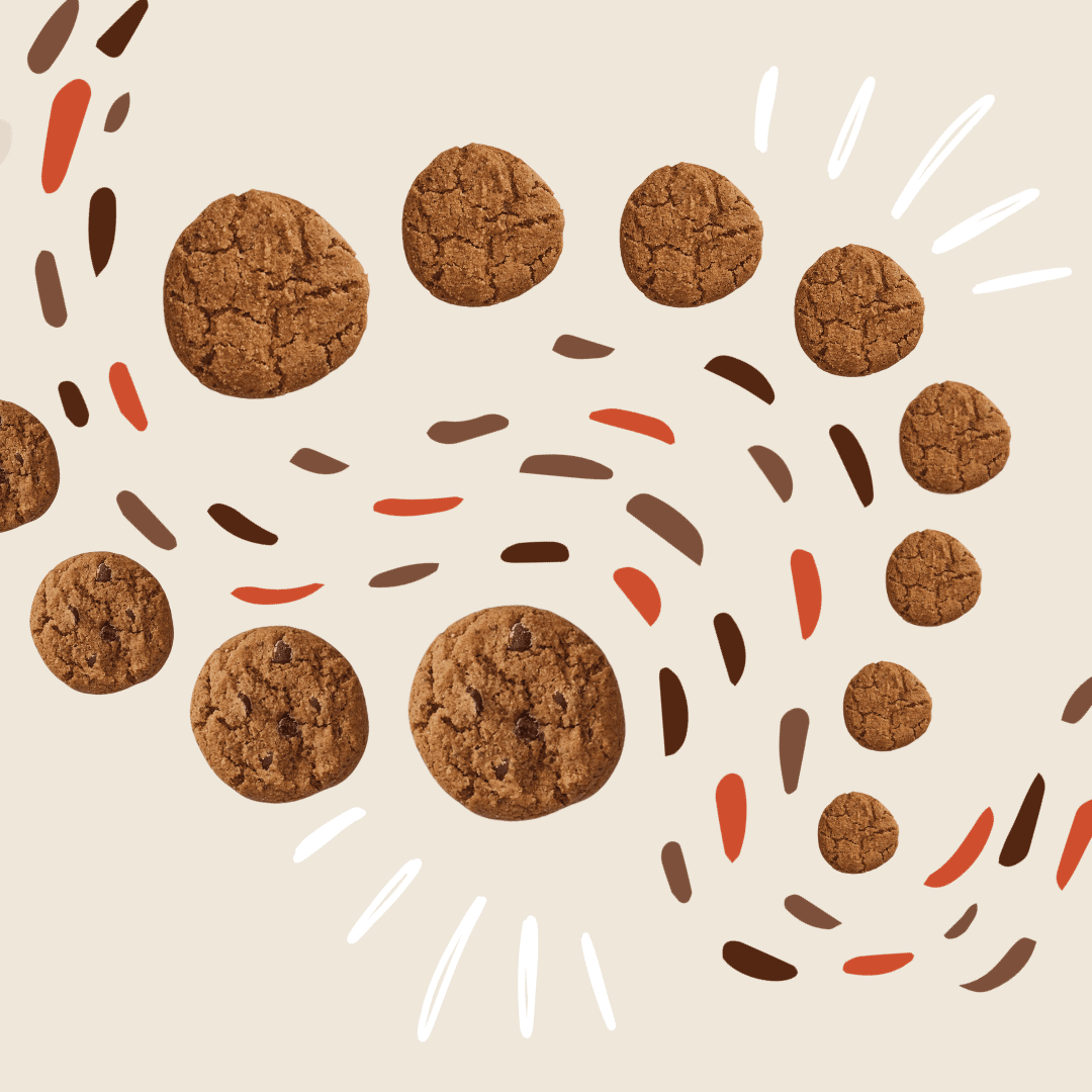 Slider image 5