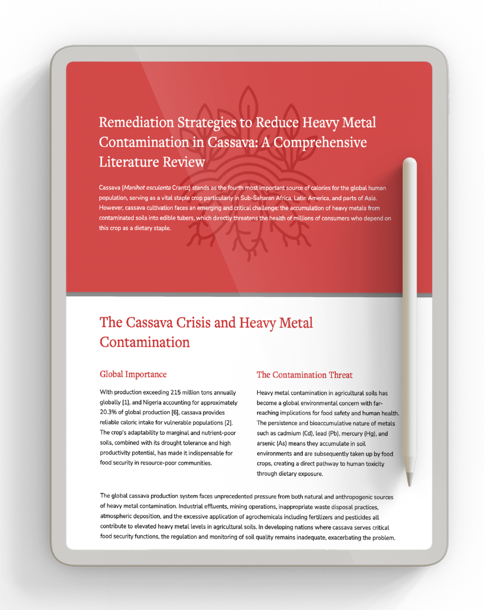 Remediation Strategies to Reduce Heavy Metal Contamination in Cassava